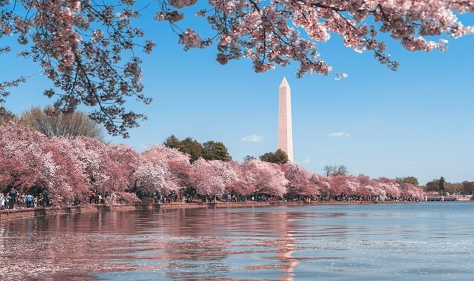 Melhores Passeios e Tours em Washington DC e Arredores