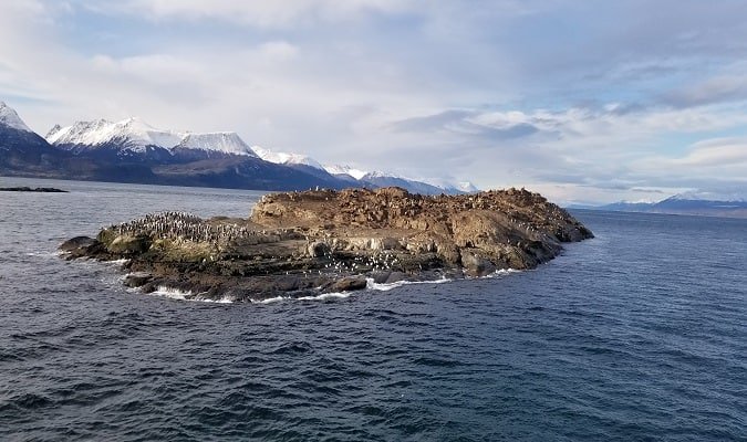 Visitar o Parque Nacional Tierra del Fuego