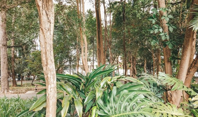 Relaxar no Parque Buenos Aires