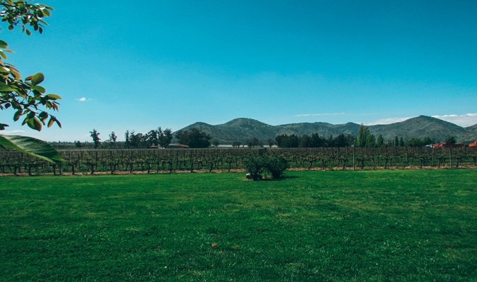 Viña Santa Rita: Vinícola nos Arredores de Santiago