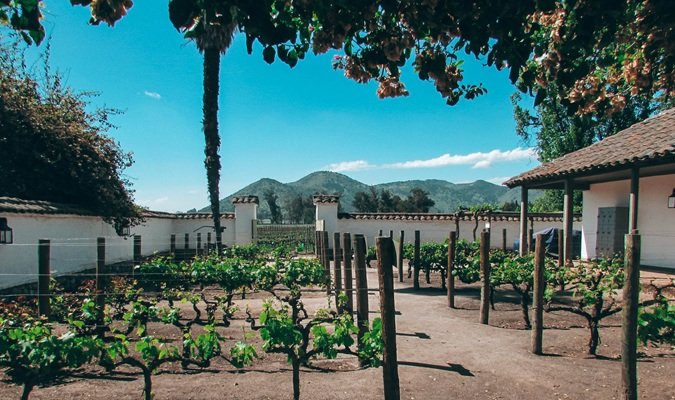 Tour Clássico da Viña Santa Rita